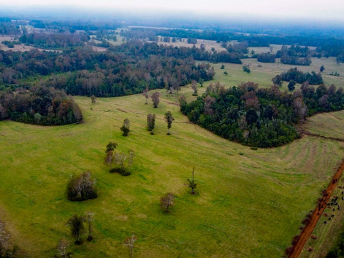 Imagen 8 de 13 de Campo Subdividido De 49,2ha - Villarrica