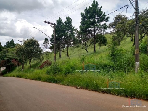 Imagem 3 de 5 de Ref.: 3815 - Terrenos Em Santana De Parnaíba Para Venda - V3815