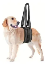Comprar Arnes Faja De Elevación Para Perros Soporte Pierna Cadera