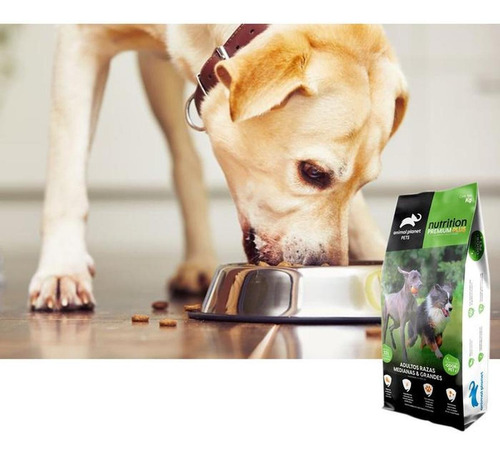 Alimento Para Perros De Calidad, Mxprr-001, 2 Kg, Croquetas