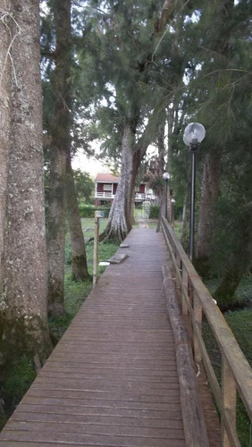 Imagen 9 de 23 de Casa - Parana De Las Palmas Tigre