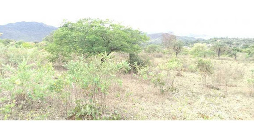 Lote Para Comprar No Casa Branca Em Brumadinho/mg - 2031