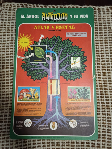 Laminas Educativas Revista Anteojito - Usadas (Usado)