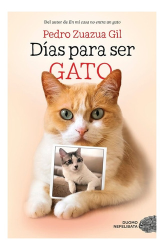 Dias Para Ser Gato - Zuazua Gil, Pedro