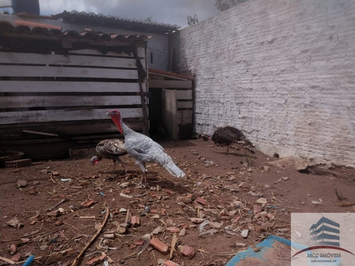 Imagem 21 de 30 de Granja A Venda Em Macaíba