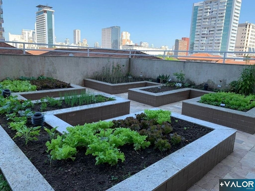 Imagem 27 de 30 de Residencial Bella Vita - Apartamento Com 2 Dormitórios Para Venda Em Santos - En1213 - 70310818