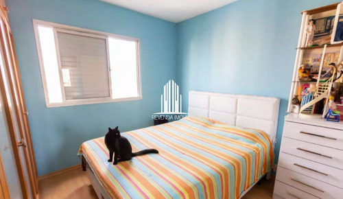 Imagem 9 de 12 de Apartamento Em Vila Ipojuca, São Paulo/sp De 55m² 2 Quartos À Venda Por R$ 510.000,00 - Ap2325643-s