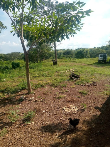 Imagen 26 de 28 de Finca En Venta En El Estado Guarico