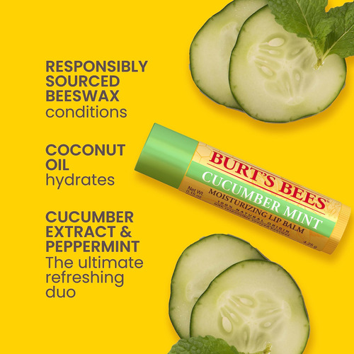 Protetor Labial Burt's Bees Stocking Stuffers, Pacote Com 4