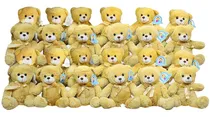 Comprar Peluches Mayoreo 24 Pzas Oso 23 Cm Envío Gratis Pelucheria