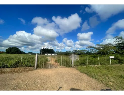 Punta De Mata, Estado Monagas