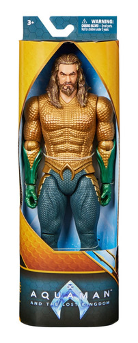 Dc Comics, Figura De Acción De Aquaman De 30 Cm