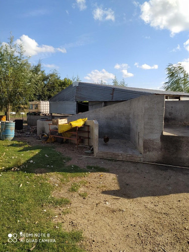 Vendo Buen Campo Con Casa Y Galpón Tajamarar Para Riego!!!