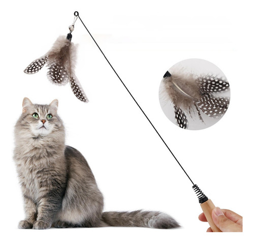 Juguetes Para Gatos Suministros Para Mascotas Juguete Teaser