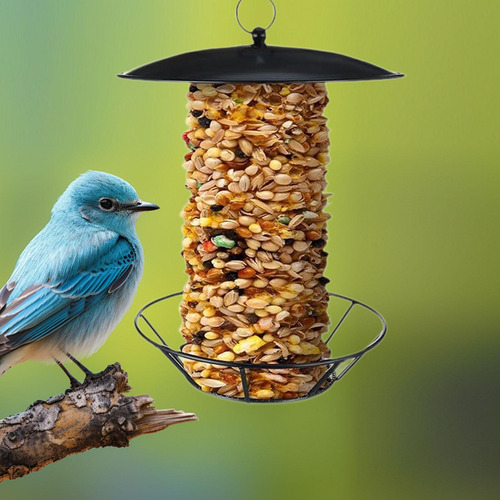 Alimentador De Aves Colgantes Dispensador De Alimentos Para