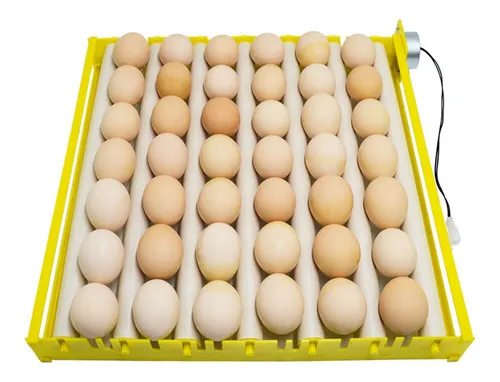 Bandeja De Incubación Automática De 42 Huevos 7 Varillas Bandeja De Incubación Automática De 42 Huevos 7 Varillas