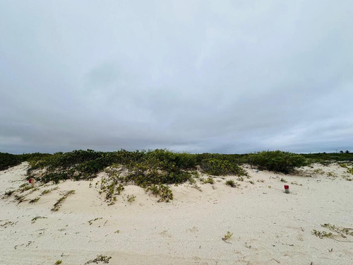 Venta De Terreno Frente Al Mar En Chuburná Puerto