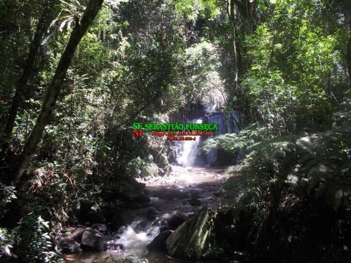 Imagem 13 de 15 de Terreno De 1000 M² No Condomínio Parque Da Mantiqueira - 565