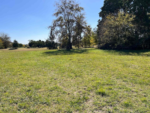 Imagen 9 de 30 de Venta Lote Central - Medal C.c Con Vista Al Golf