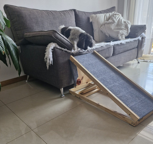 Rampa Con Descanso Para Perros Y Otras Mascotas (Usado)