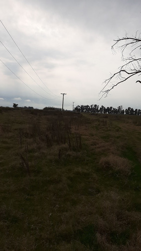 Imagen 1 de 5 de 35 Hectareas En Plomer