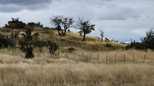 Campo En Rio Pico
