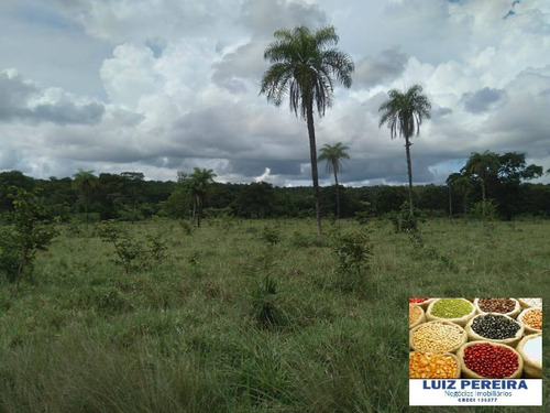 Imagem 9 de 13 de Fazenda À Venda Em Cristalândia - To - 1,302 Hec Planta Soja - 1629