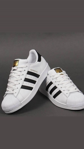 Tenis Adidas Concha Superstar Bco Con Ngo Con Envio