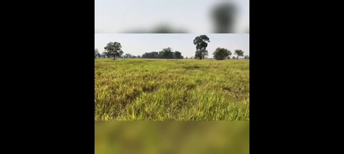 Imagem 13 de 30 de Fazenda 3366 Hectares, 5 Poços Artesianos, 4 Reservatórios De Agua, 42 Bebedouros De 12mil Litros, 80 Casinhas De Cocho Cobertas, 2 Corredores Centrai - Fa00043 - 69928786
