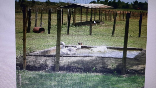 Imagen 6 de 9 de Se Vende Finca En Orocual Ve02-014zn-ic
