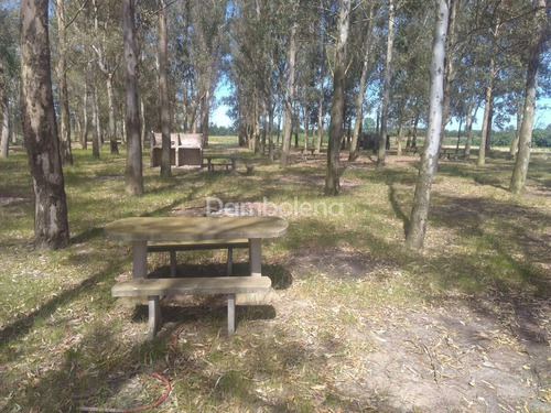 Imagen 6 de 25 de Terreno Fraccion En Venta O Permuta Ubicado En Cañuelas, Resto De La Provincia, Buenos Aires