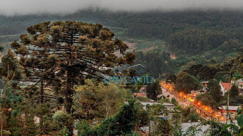 Imagem 7 de 15 de Terreno À Venda, 324 M² Por R$ 231.674,30 - Várzea Grande - Gramado/rs - Te0820