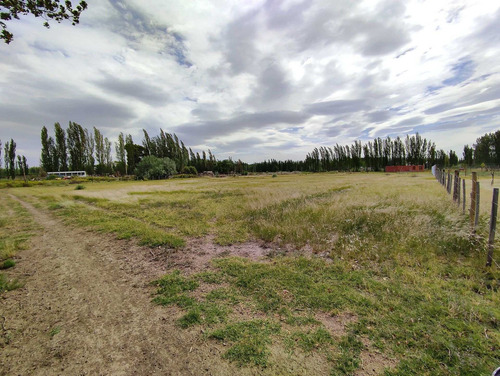 Imagen 3 de 10 de Lote En Venta En Cervantes