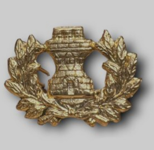 Distintivo Insignia Cmn