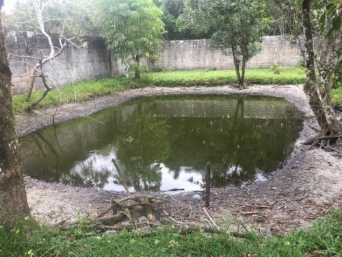 Chácara À Venda No Litoral Paulista - Itanhaém 6112 | A.c.m