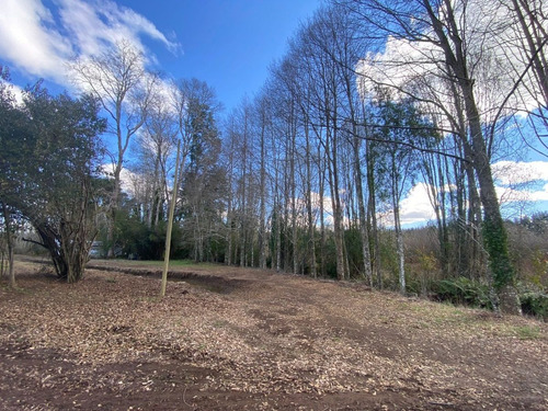Imagen 13 de 17 de Fundo Avellanos - Loteo Cerrado, 15 M Villarrica