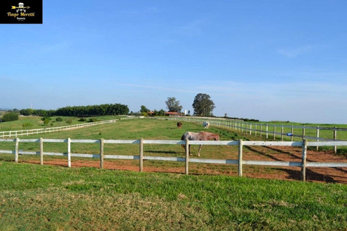 Excelente Haras Em Piquerá Porto Feliz-sp À Venda - Ha00001 - 69229779