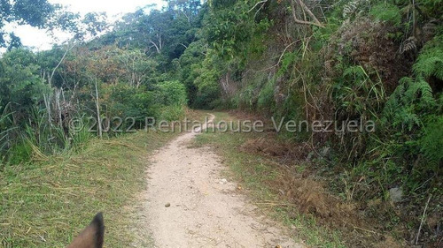 39842m2 En Turgua (el Hatillo)fundo Agrícola Recreacional Con Clima De Montaña, Mls#22-28764