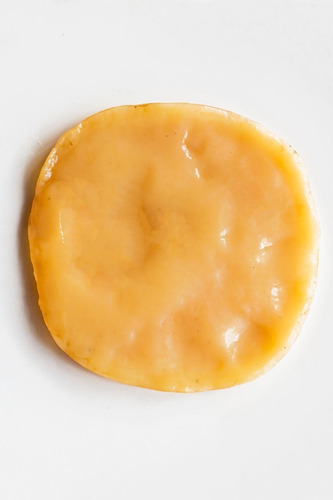 Scoby Para Hacer Kombucha