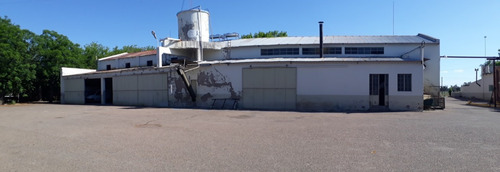 Vendo Bodega Con Viñedos Y Elaboración Propia