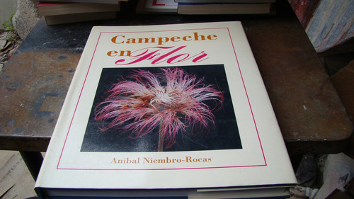 Campeche En Flor , Anibal Niebro  , Año 1993 , 225 Paginas