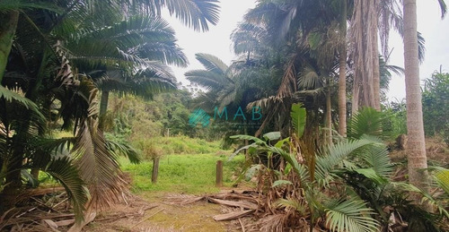 Imagem 16 de 30 de Lindo Sítio À Venda No Bairro São Luiz Em Apiúna Sc!! - Ru00003 - 69368760