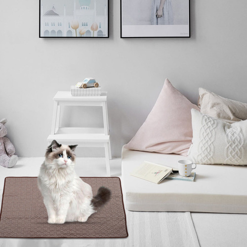 Alfombrilla Refrescante Para Perros Summer Pet, Almohadilla