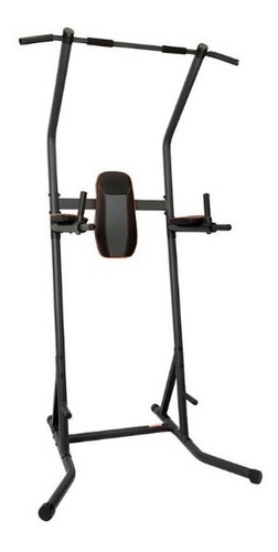 Arg919 Abdominal Flexor+dominadas Randers