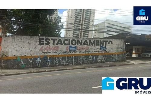 Imagem 5 de 10 de Terreno De 2.100 M² Localizado No Centro - Te703