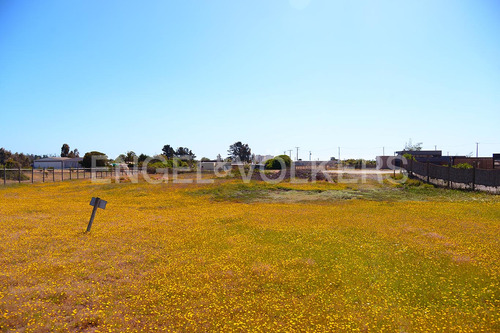 Sitio Plano 2200m2 Urbanizado.