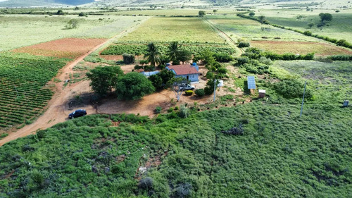 Oportunidade Única! Sítio De 12 Hectares Porteira Fechada -