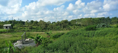Renta Terreno 6 Hectareas Ejido La Victoria Tuxpan Veracruz