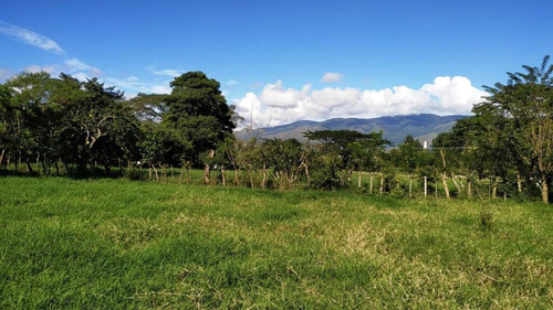 Imagen 12 de 14 de 165595 Katherine Castillo 0412-8567234 Venta Finca Carretera Aguirre