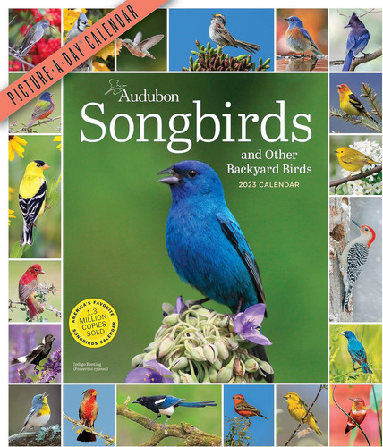 Audubon Songbirds And Other Backyard Birds Picture-a-day